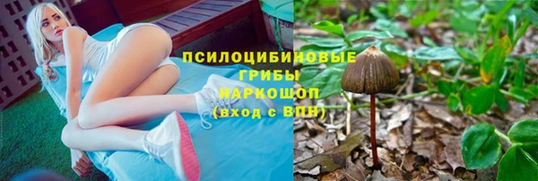 эйфоретик Магадан
