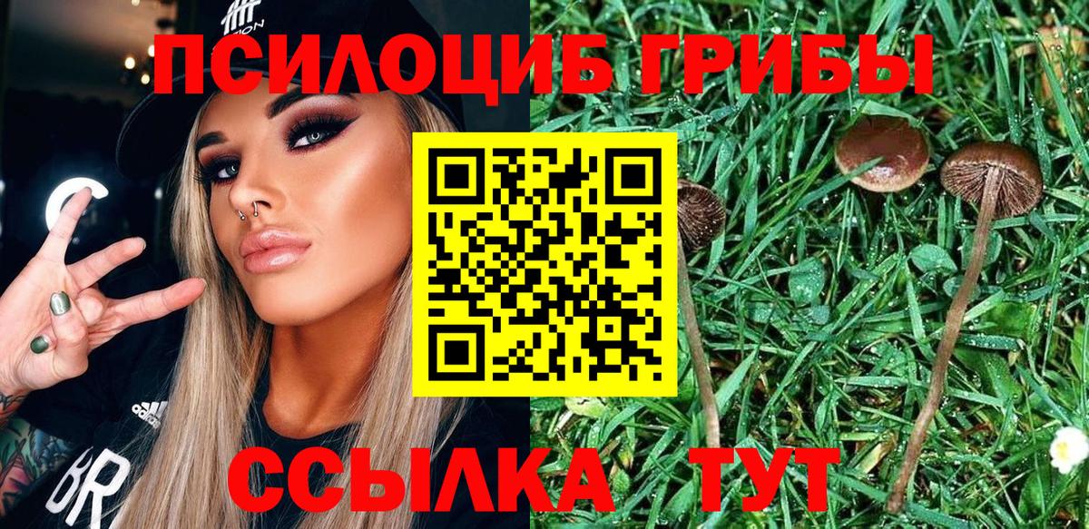 COCAIN  Мефедрон  Костомукша  Купить закладку  Вход с VPN  Хэш  Каннабис 