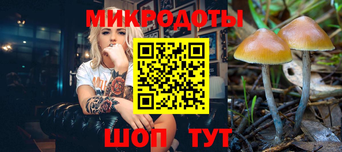 Галлюциногенные грибы Magic Shrooms  Костомукша 